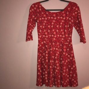 Red Floral Skater Dress-Hollister